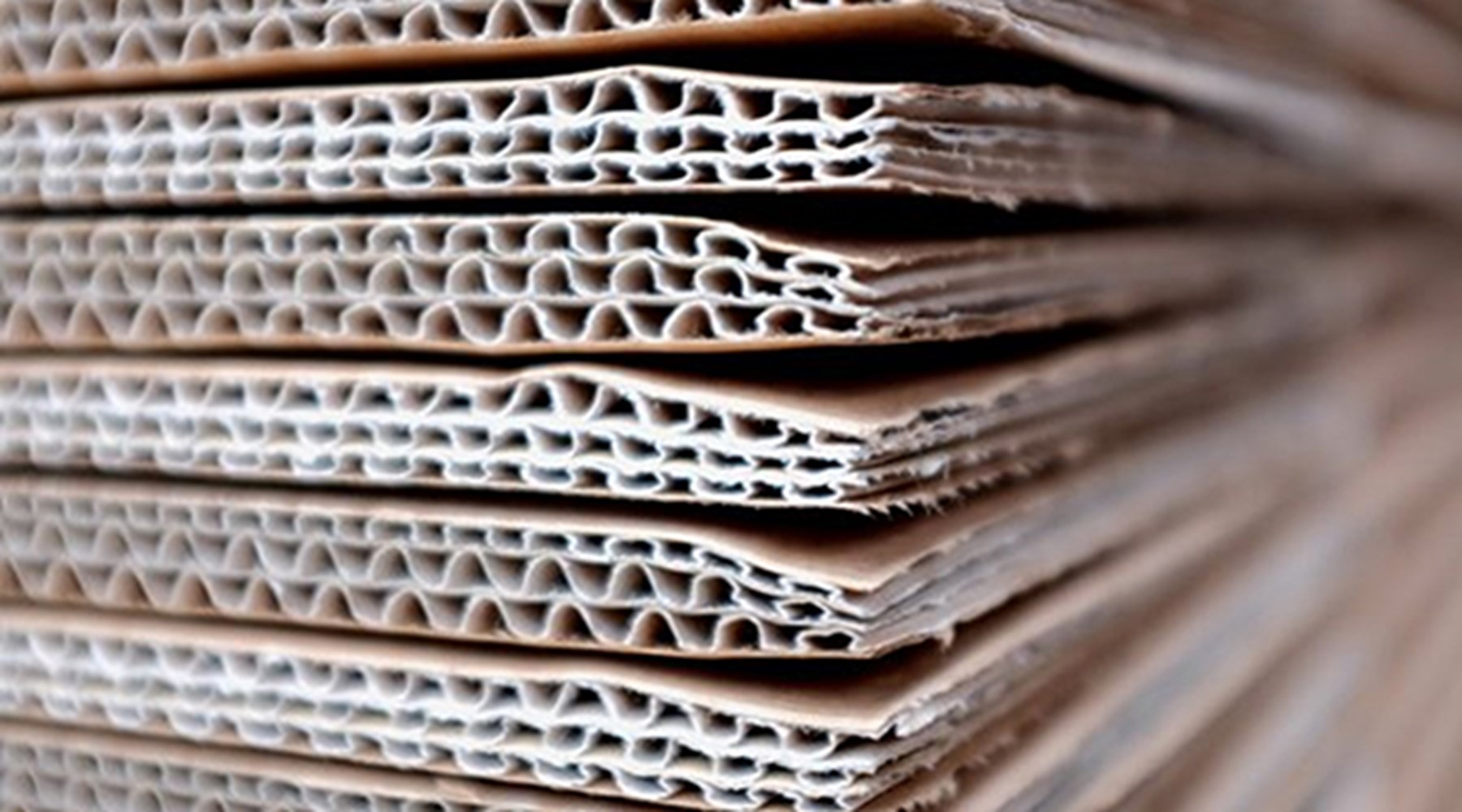 Corrugated Cardboard