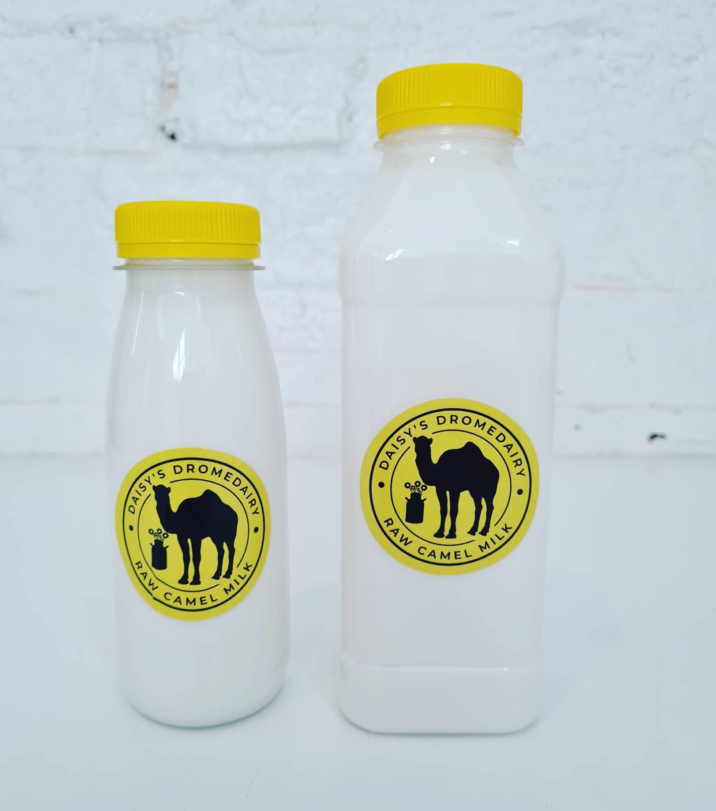 Daisy's Dromedairy Camel Milk